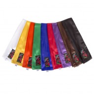 https://fujimae.com/176-tm_large_default/faja-kung-fu-raso-colores.jpg