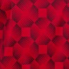 https://images.joma-sport.com/ka/apps/joma/files/20210826_150238_901431.336_4_def.jpg