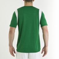 https://images.joma-sport.com/ka/apps/joma/files/20160418_175247_100446_450_tras_web.jpg