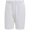 http://bmsportech.es/media/images/marcas/adidas_tenis/products/GH7222.UNICA.1.jpg