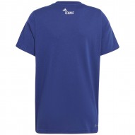 http://bmsportech.es/media/images/marcas/adidas_tenis/products/IC4982.UNICA.2.jpg