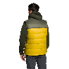 Chaleco Warren - Mostaza/Verde Oscuro | Oferta ahora