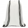 VANS SACO GYMSACK MN LEAGUE BENCH BAG