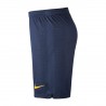 Nike Pantalón corto FC Barcelona Stadium Primera Equipación 2018-19