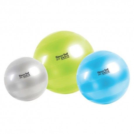 https://www.amayasport.com/es/1073-tm_thickbox_default/fitness-ball-tecnocaucho.jpg